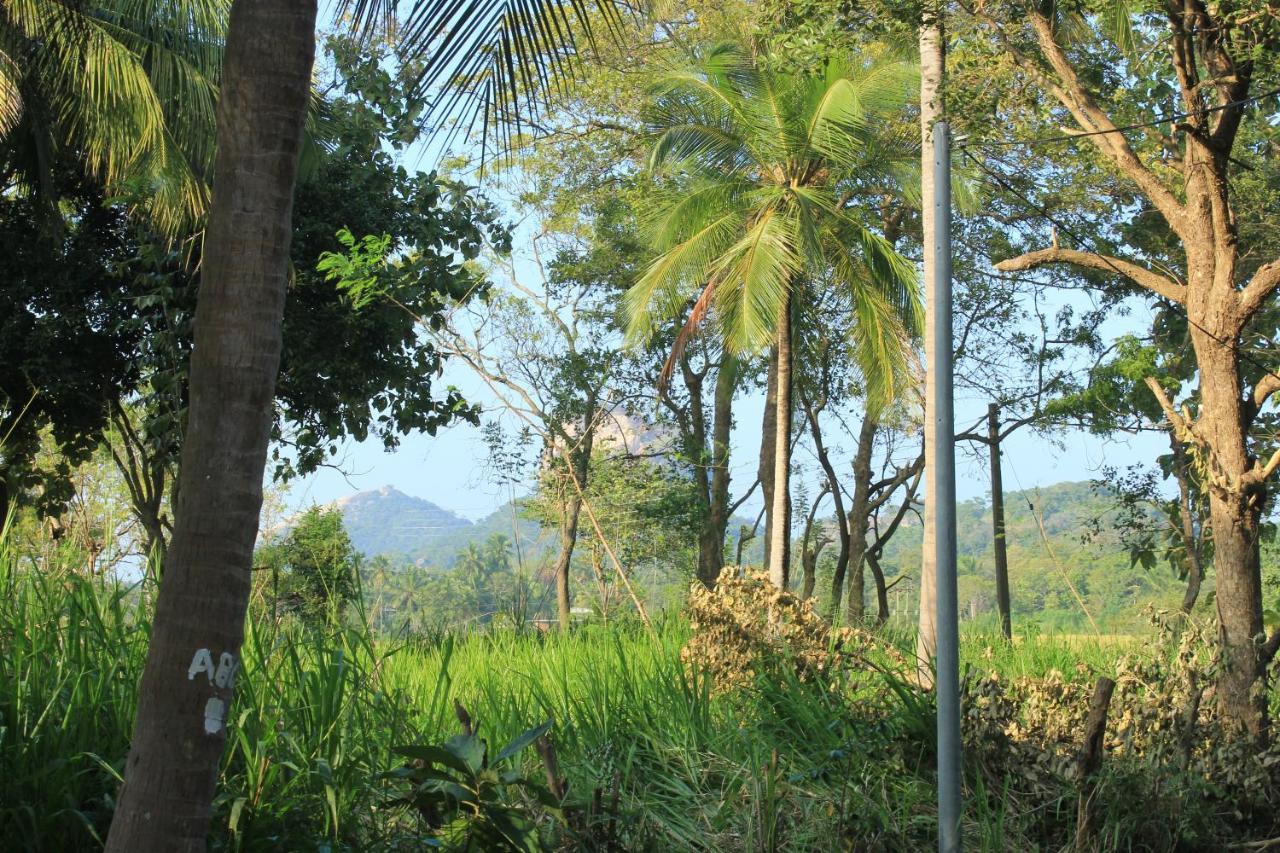 Sigiriya Hillside View Villa Exterior photo